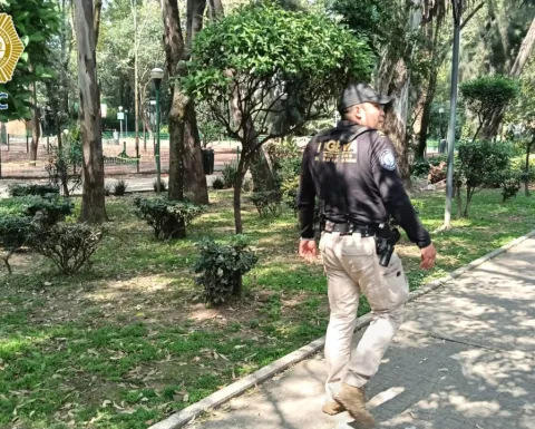 Mueren perros envenenados en Parque España: esto se sabe