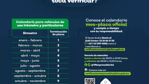 ¡Atención! Estos vehículos deberán realizar su Verificación Vehicular en enero