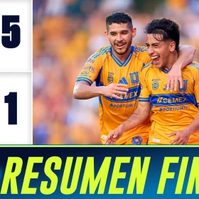 RESUMEN FINAL tigres.jpg