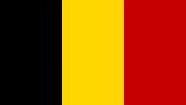 Bandera Belgica