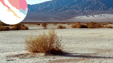 ¿Sismos en Valle de la Muerte en Estados Unidos afectan al estado de Baja California?