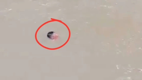 _Hombre acusado de secuestrar a un niño se avienta al río y muere ahogado en Honduras.png
