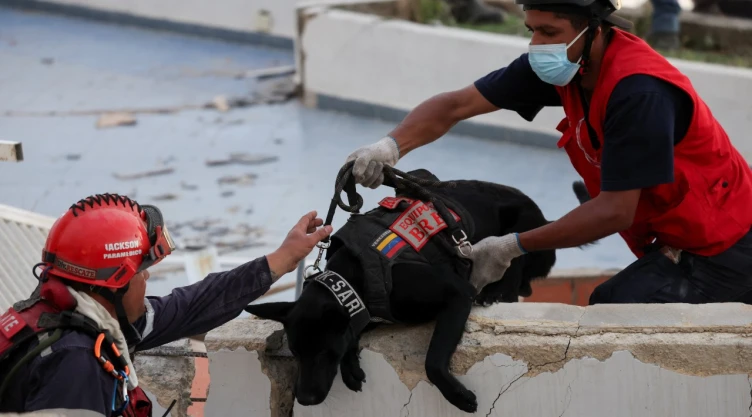 binomios_caninos_perritos_rescatistas_venezuela