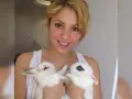 Shakira.jpg