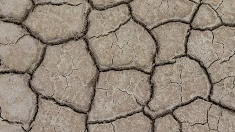 Aumenta la temporada de sequía en México durante el 2025: ¿Baja California afectado?