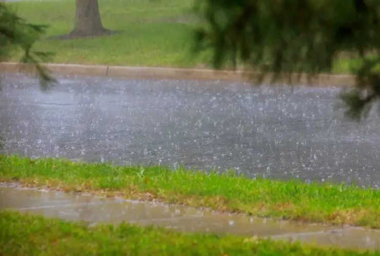 Clima en Michoacán hoy, 12 de enero de 2025 Frío, fresco y lluvias en varios municipios.png
