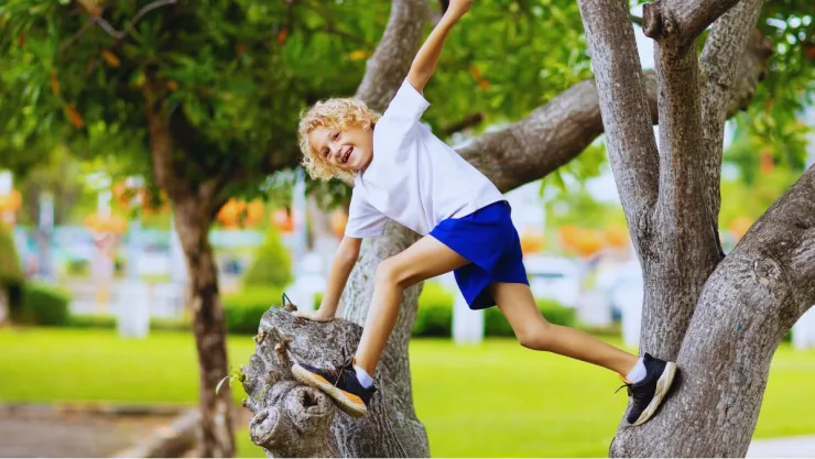 Qué significa que a un niño le guste trepar árboles, según la psicología