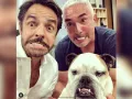 Famosos con un Hachiko en su vida (21).jpg