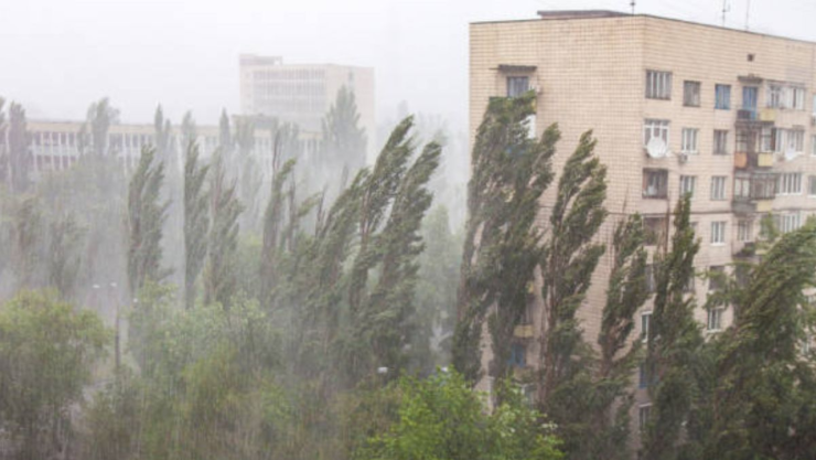 Primera Onda Tropical