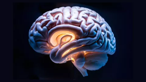 Esta es la nueva forma de desarrollar Alzheimer, según la ciencia.jpg