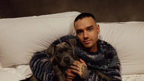 liam payne qué hizo antes de morir