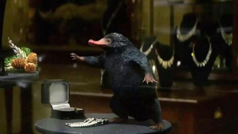JK Rowling confiesa que el escarbato es su animal fantástico favorito