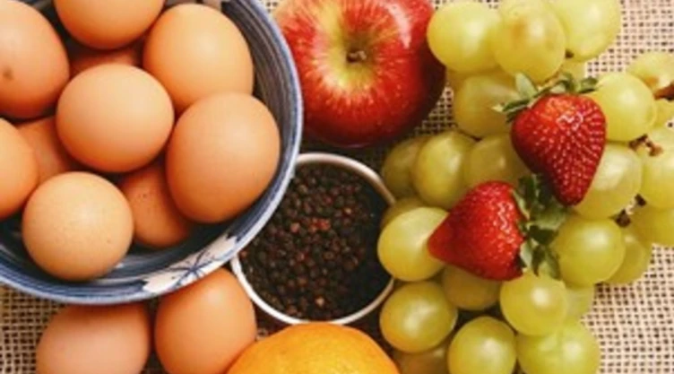 Proteínas vegetales y animales