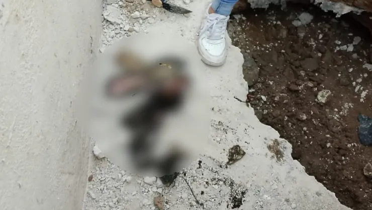 Encuentran fosa clandestina en una vivienda de Ixtlahuacán de los Membrillos; es rentada por una familia