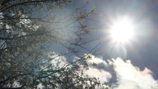 Clima León hoy 1.png