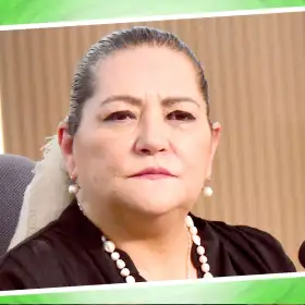 Guadalupe Taddei, Presidenta Consejera del INE