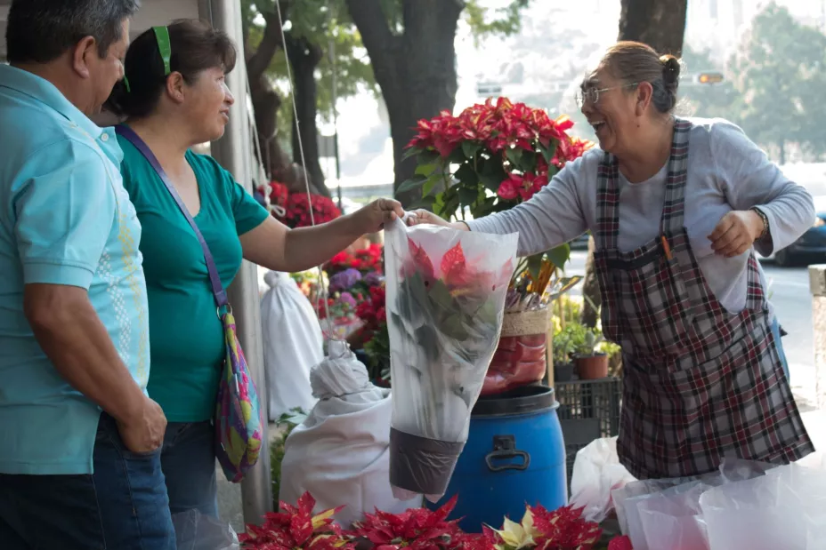 cuartoscuro adulto mayor.jpeg