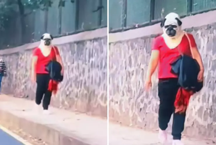 Mujer con cabeza de perro sorprende las redes sociales.jpg