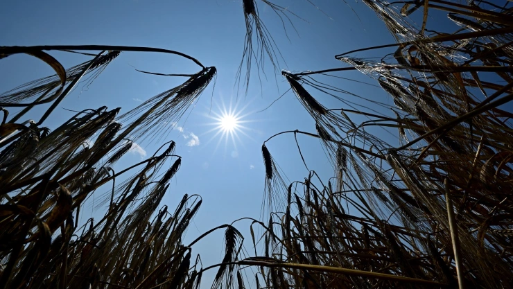 Centros de Pronóstico Ambiental de Estados Unidos registran el 3 de julio de 2023 como el día con más caluroso en promedio a nivel mundial