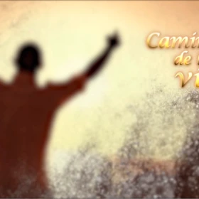 IMAGEN 15 (7).png