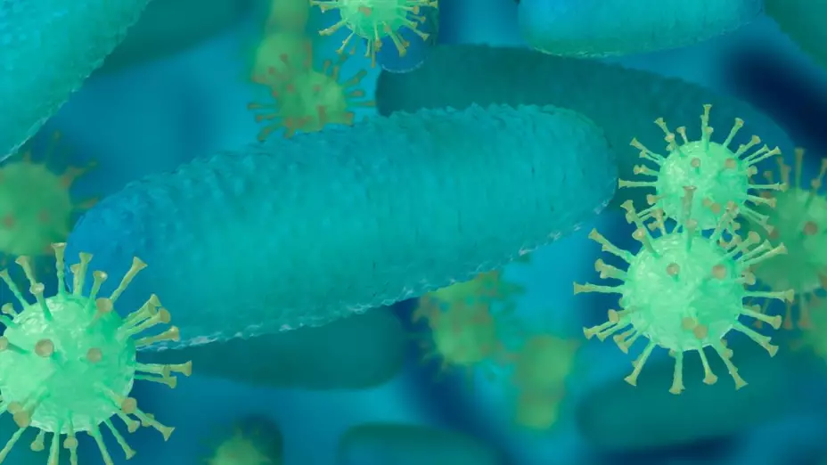 bacterias