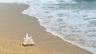 El día más frío del año para Puerto Vallarta, Jalisco