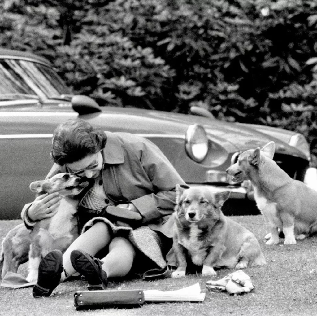 reina isabel de picnic con sus perros