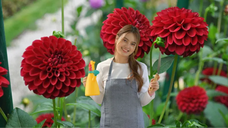 plantas color rojo