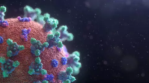 Xibalbá Nueva variante de covid en la Península de Yucatán