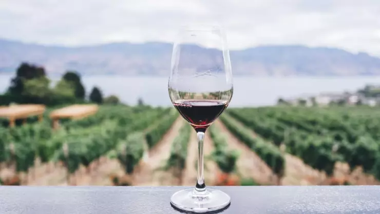 cómo llegar a Valle de Guadalupe