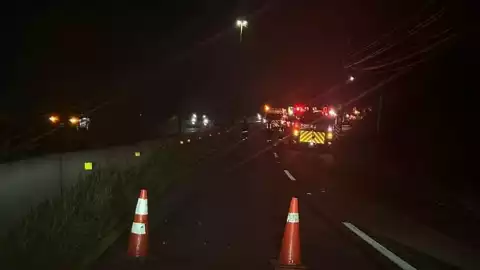 Choque Fray Junípero.jpeg