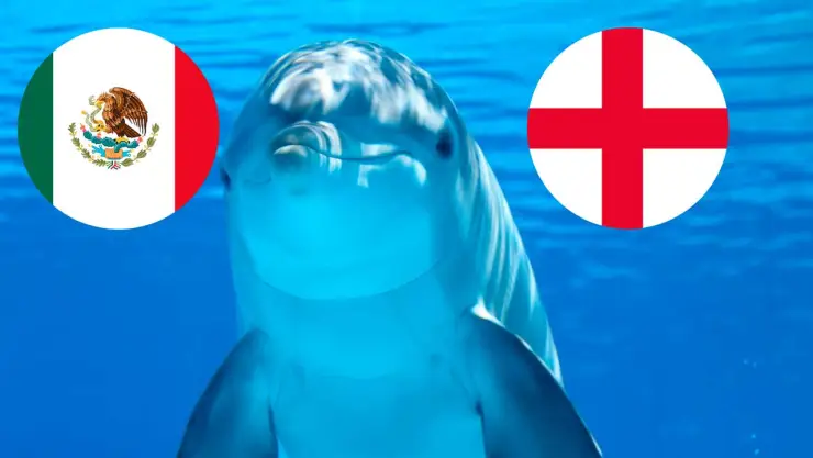 delfin-hidalgo