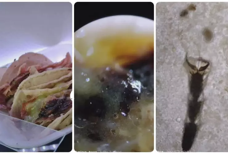 tacos callejeros-microscopio