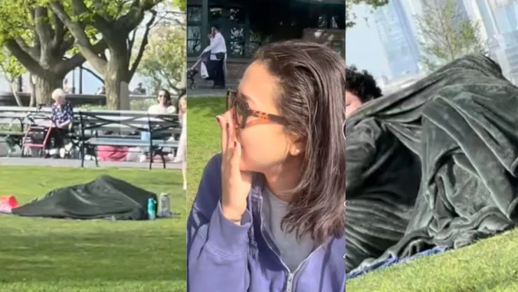 pareja-de-la-manta-amigas-picnic-parque-nueva-york-video