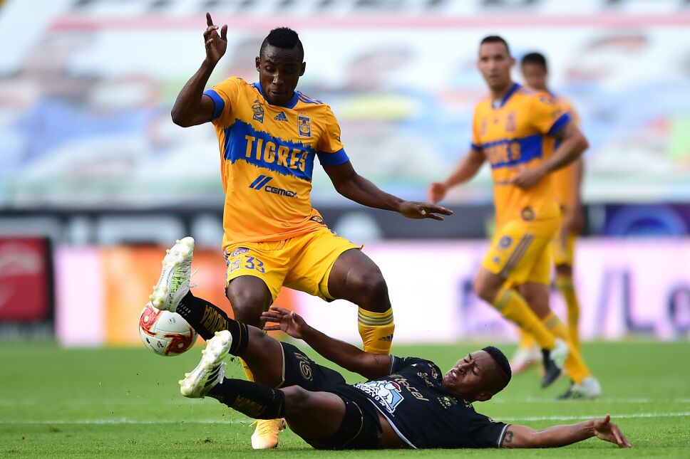 Leon Tigres