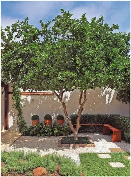9 ideas de diseño para que tu patio se vea como en una telenovela: no necesitas mucho dinero