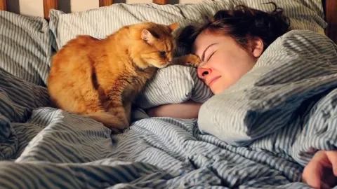 Video creado de Sora OpenAI