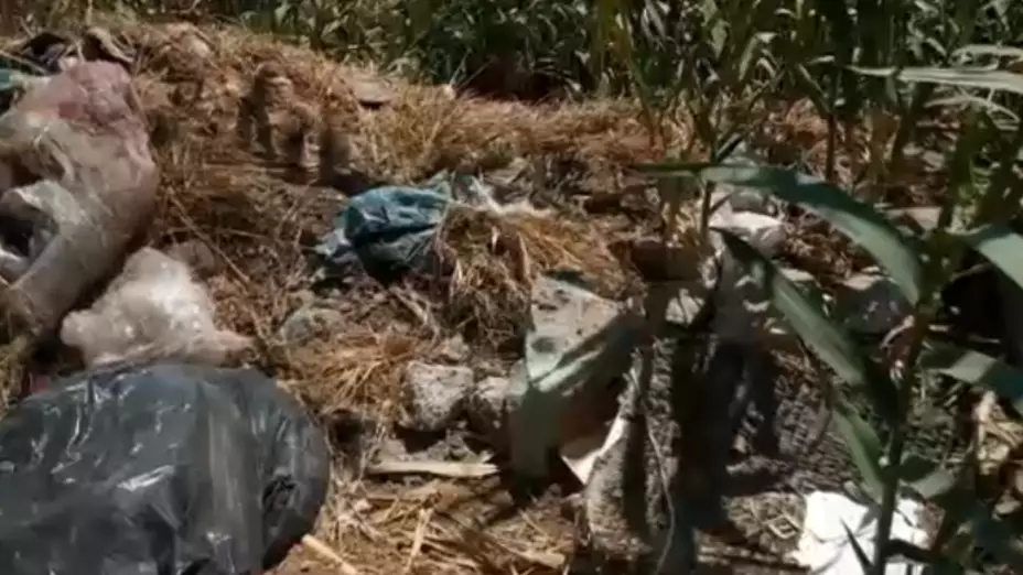 Todo tipo de desechos contaminan el río Atoyac en Oaxaca.png