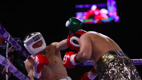 Julio C&eacute;sar Ch&aacute;vez Saul Canelo &Aacute;lvarez