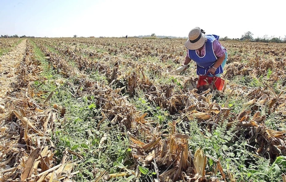 El presidente anunciara apoyos al campo