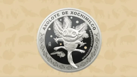 Moneda conmemorativa del ajolote