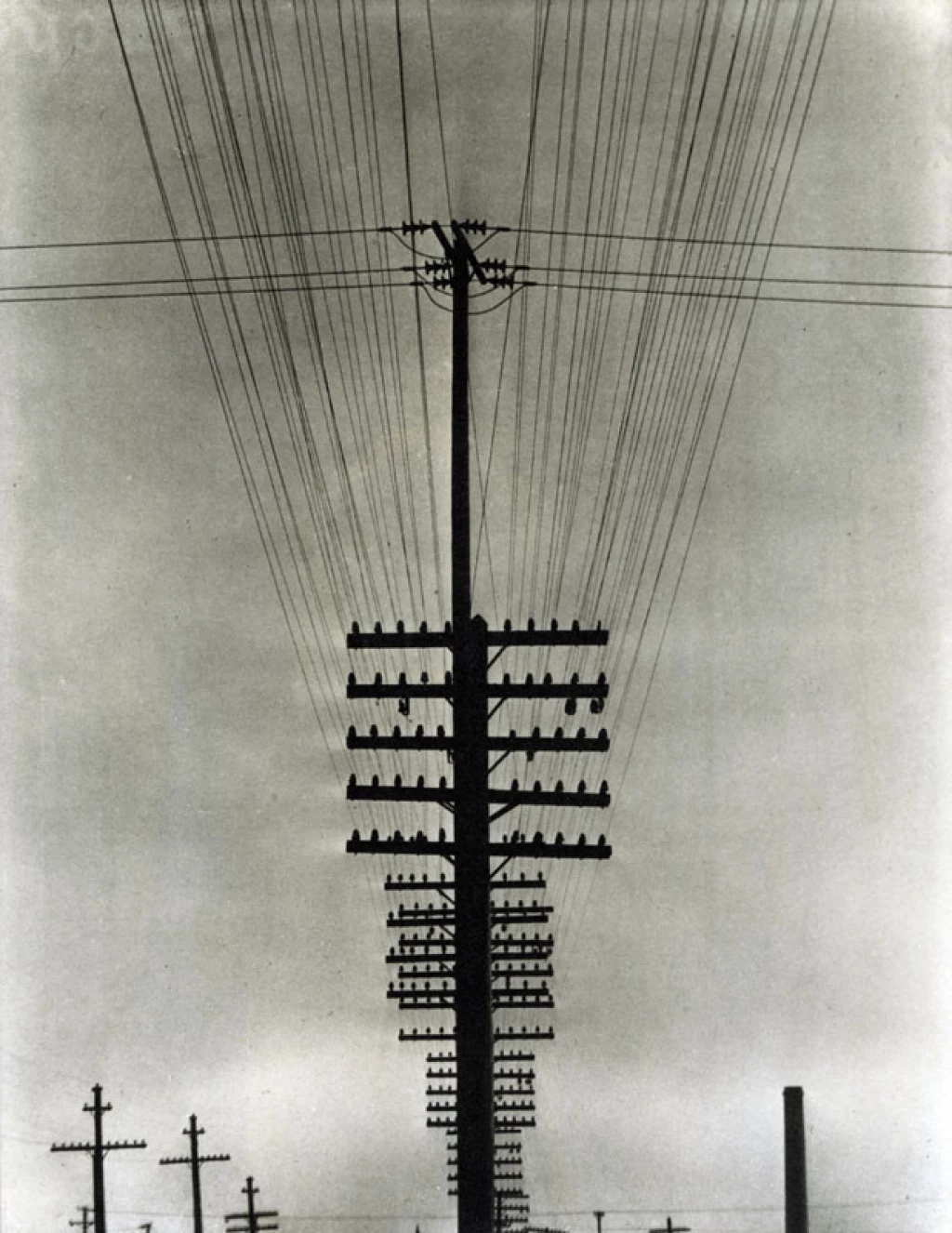 cables telefonicos tina modotti