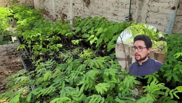 Jardines sustentables biólogos en Culiacán recomiendan plantar plantas endémicas. .jpg