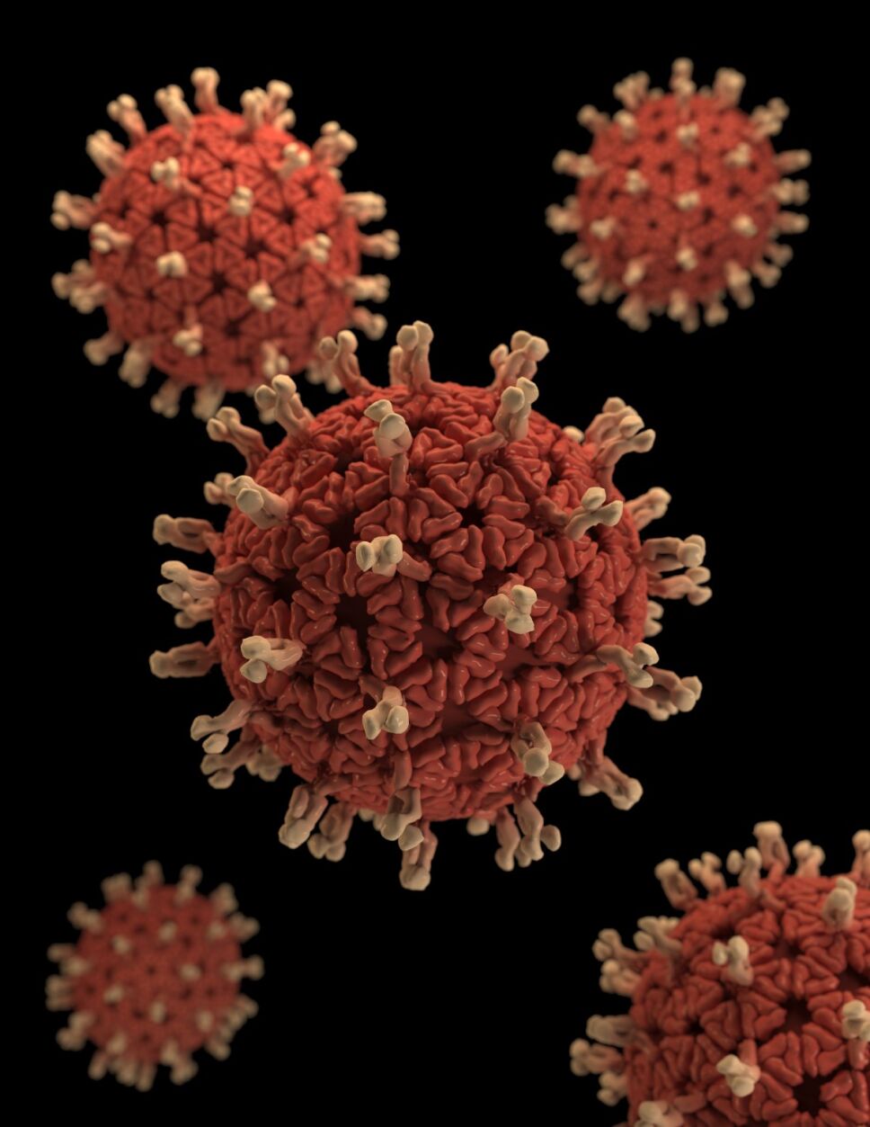 Virus Nipah pandemia