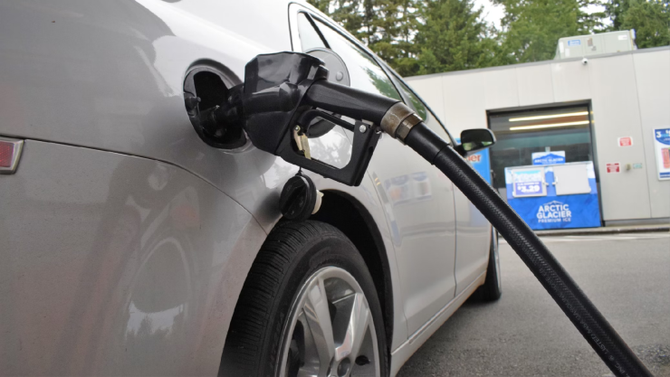 Gasolina Guanajuato.png