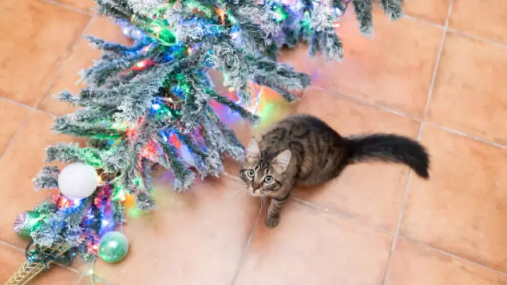 Gato árbol de Navidad