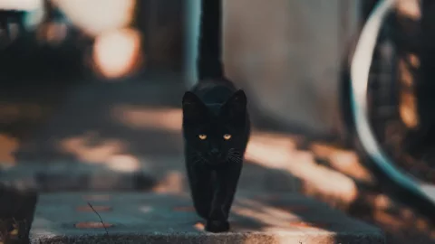 martes-13-mala-suerte-por-que