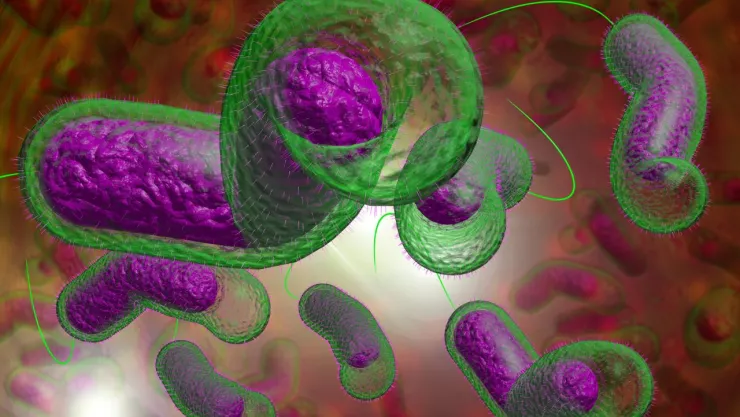 Bacteria klebsiella oxytoca afecta más a los niños recién nacidos