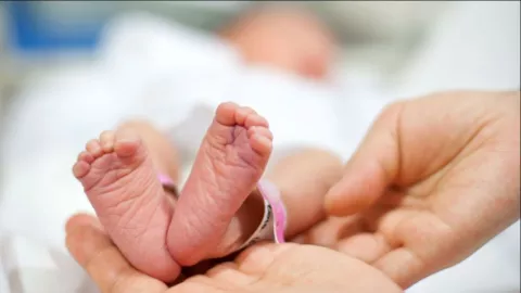 Mujer denuncia el robo de sus mellizos