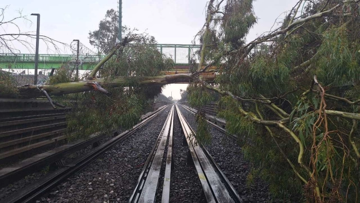 ¡Caos en el Metro CDMX! Árboles caen sobre las vías de la Línea B